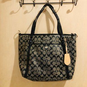 COACH Leather Carryall